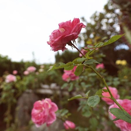 Taitung City-Cottage B&B Exterior foto